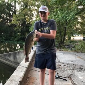 Meet your Posher, Lee